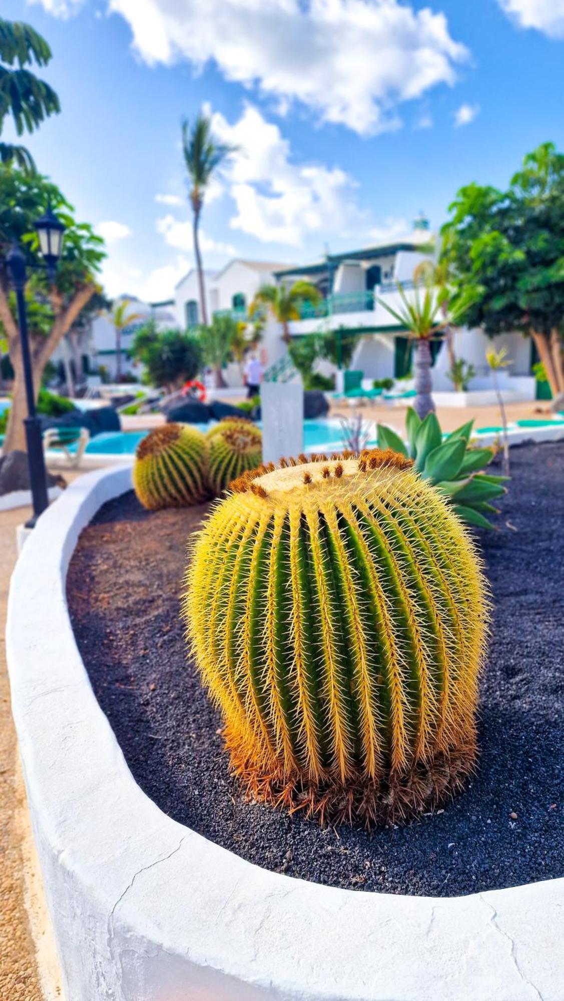 Un Capricho Lägenhet Puerto del Carmen  Exteriör bild